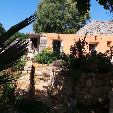 Homes In Rovinj/istrien 11675 Holiday home
