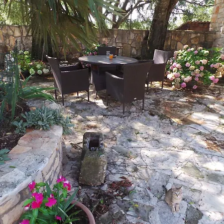 Homes In - Istrien 11675 *